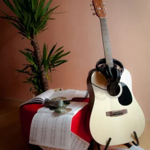 Martin D-28 Acoustic Guitar